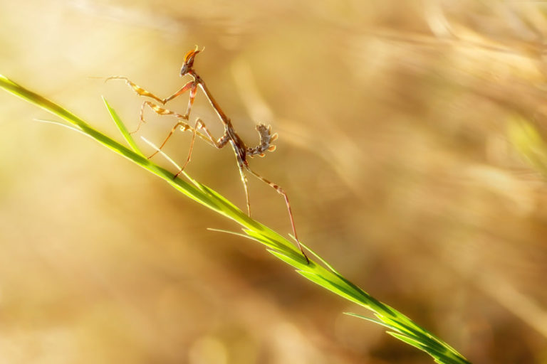 Formation et cours photo agen 47