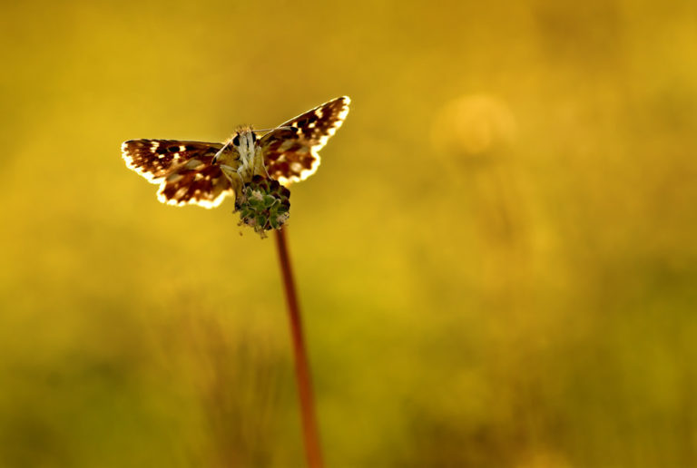 Formation et cours photo agen 47